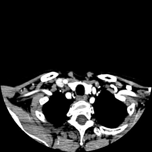 test file 4-29-26 11 big - democratiz3D® Processing - TEST SITE